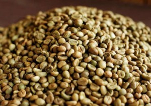 coffee-robusta-grade